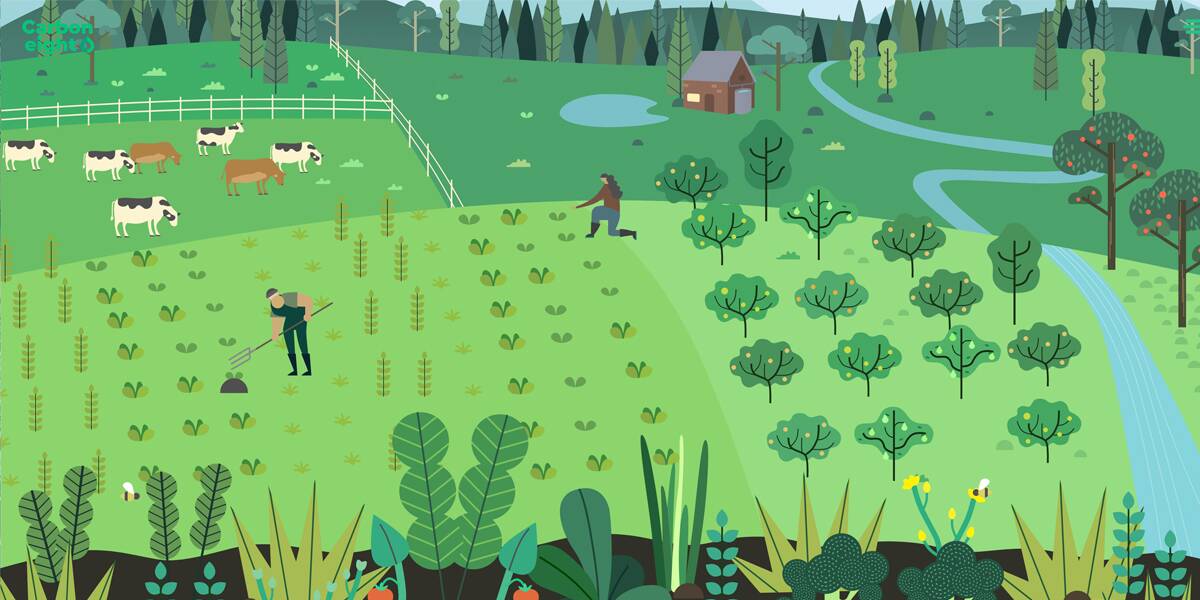 THE FUTURE: An artist's impression of regenerative agriculture at work which is featured on the Carbon8 website.