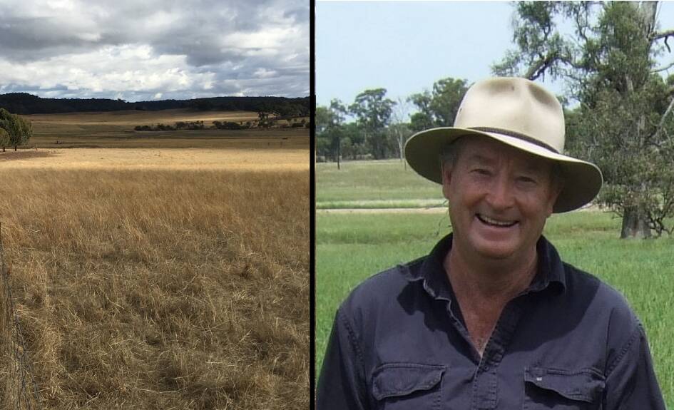 GRASSLAND: Gulgong farmer Colin Seis at his farm in February 2017 before the dry weather began (right) and his farm in July (left). 