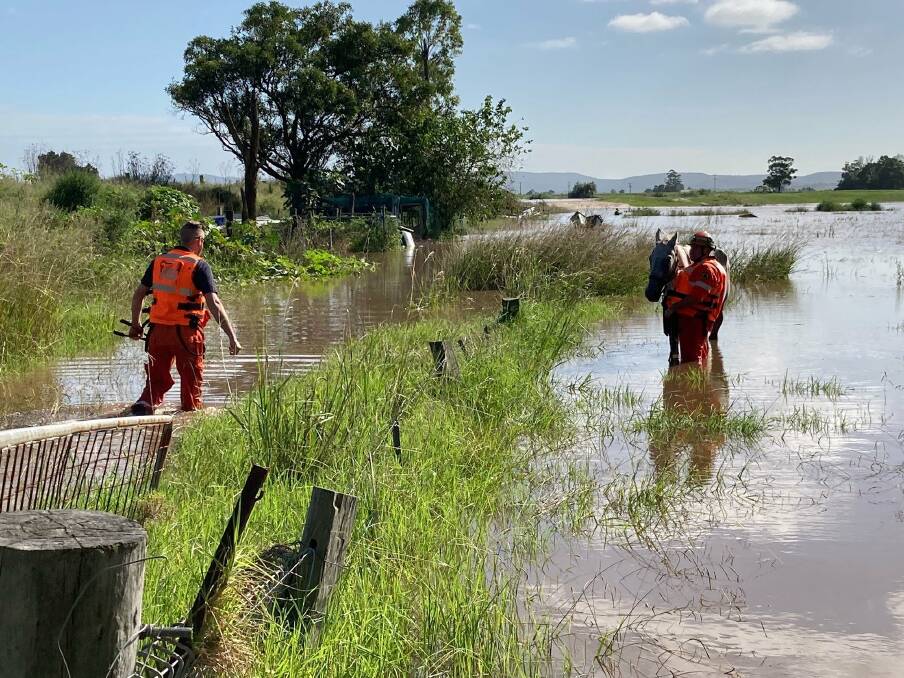 HELP: A Maitland SES Unit volunteer holds the horse while his colleague arrives with wire cutters to help it escape the flooded paddock at Pitnacree. Picture: Hunter NSW SES Unit 