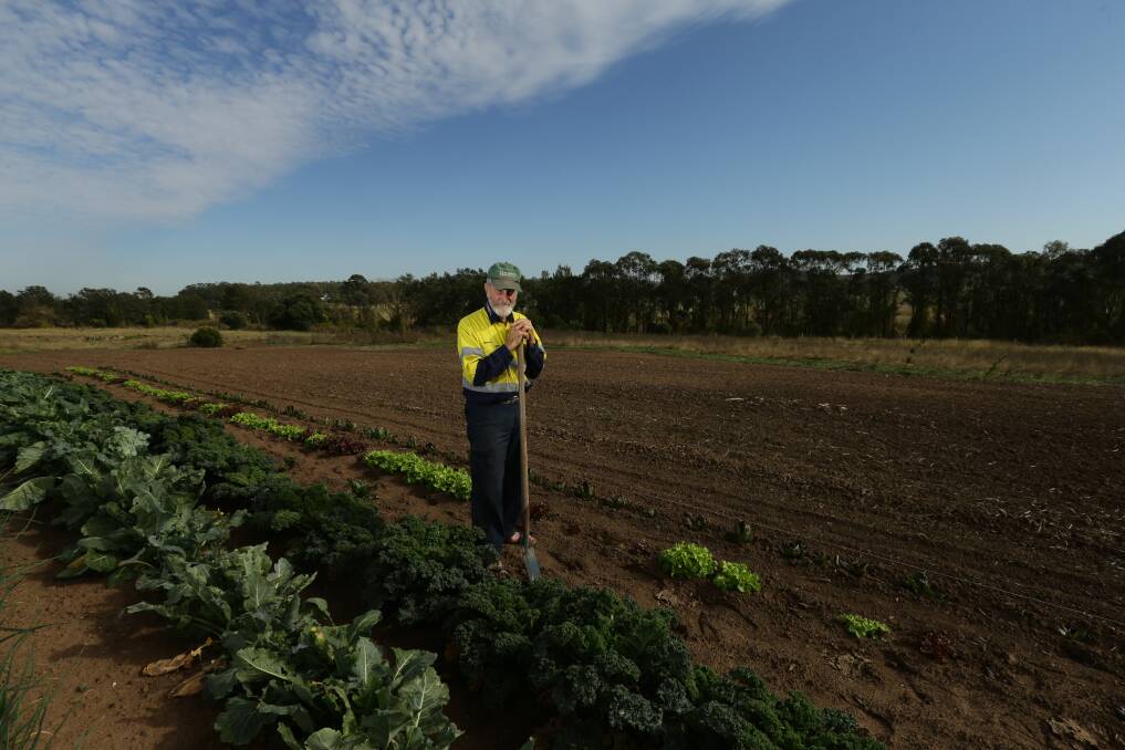 A STROKE OF LUCK: Oakhampton farmer Austin Breiner stands in his vegetable patch where 48 millimetres of rain fell last weekend. Picture: Jonathan Carroll