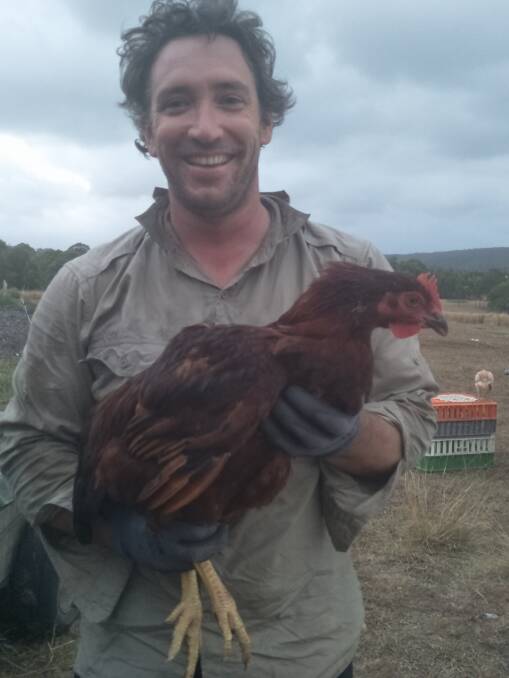 WINNERS: Simon Carroll, of Little Hill Farm at Mount Vincent, holds one of the Joyce's Gold Heritage breed chooks. This breed led the farm to be named a state winner at the NSW Delicious. Produce Awards.