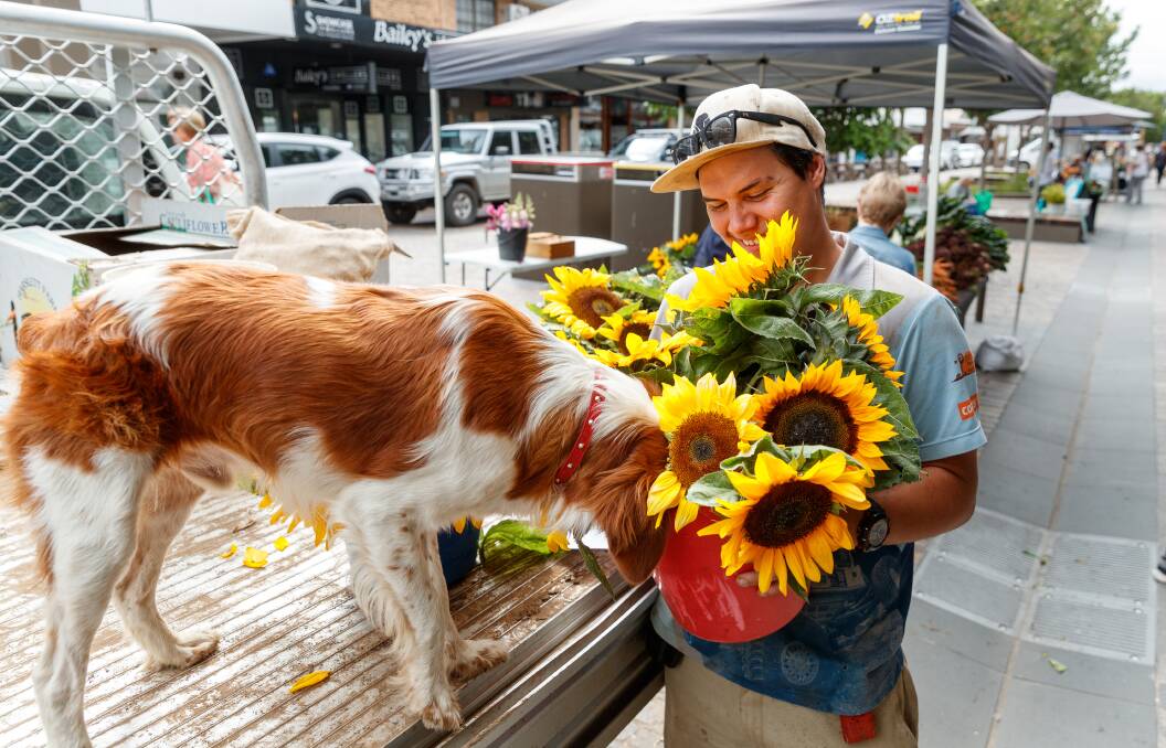 FLAIR: Liam Dennis chuckles while his dog Ollie takes a drink from a bucket of sunflowers at the earth market.Picture: Max Mason-Hubers