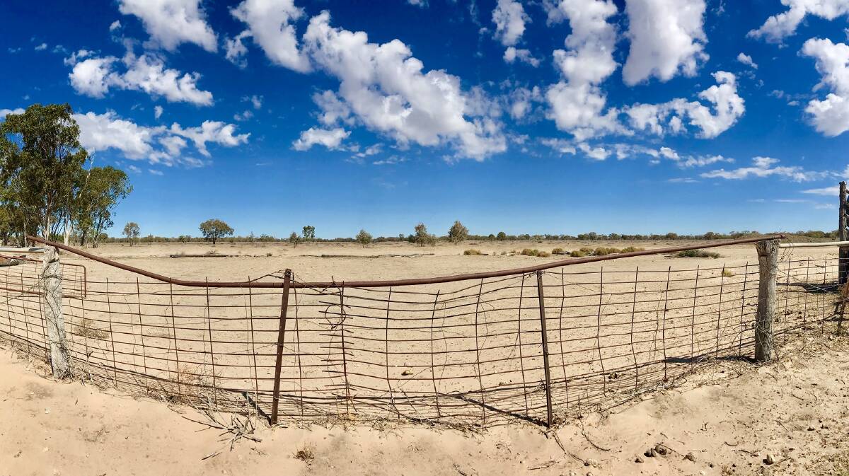 BARREN: This farm near Lightning Ridge hasn't seen rain for three years and it shows. The soil could be mistaken for sand at the beach.