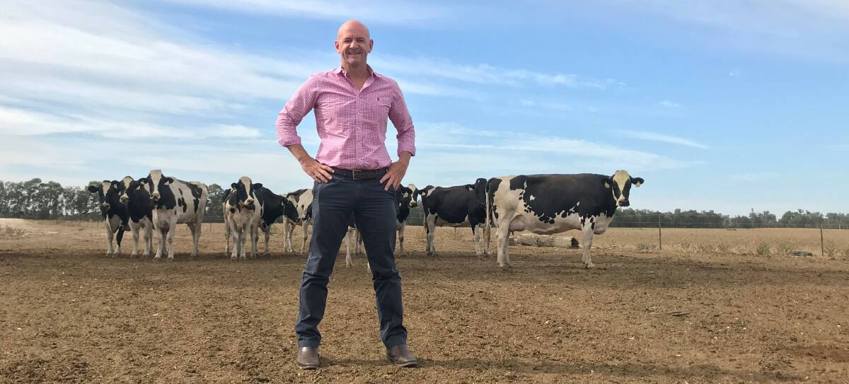 LIBERALS AND NATIONALS: NSW Primary Industries Minister Niall Blair on a farm with some dairy cattle. 
