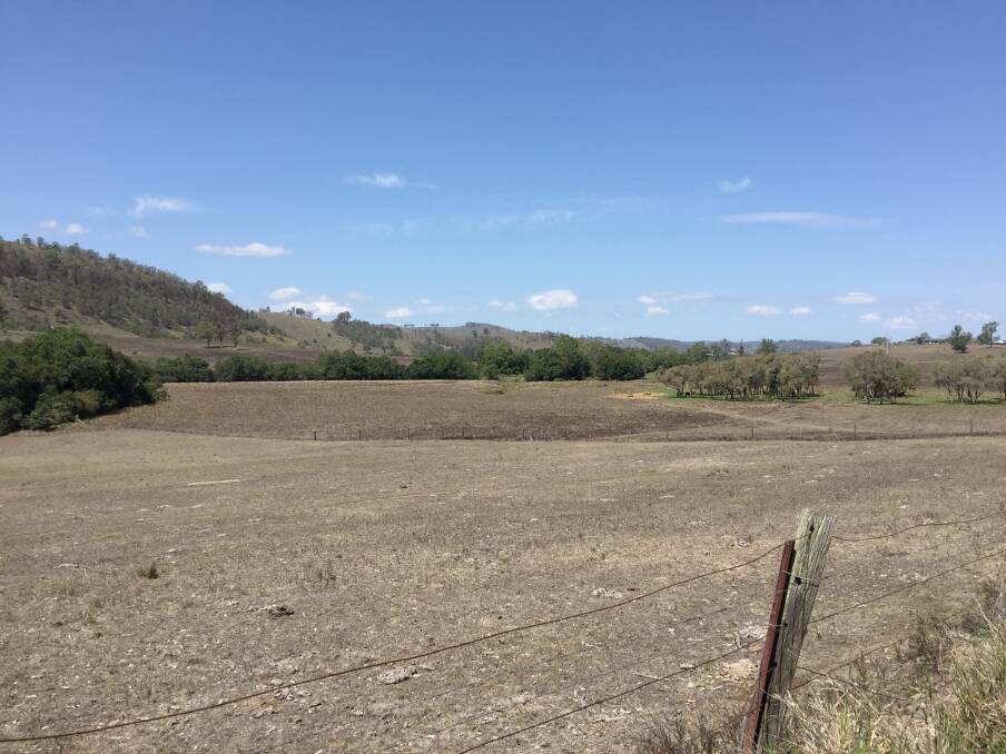 THE BIG DRY: Farm land near Dungog is still suffering from a lack of rain. Picture: Belinda-Jane Davis