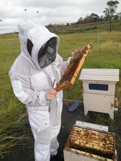 BEE-UTIFUL: Crissy Rowcliff, with two of her hives at her permaculture farm, Carinya Downs, at Lochinvar before the outbreak.