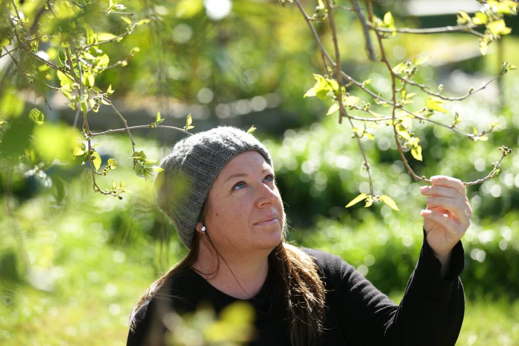 CONFUSED: Crissy Rowcliff with her mulberry tree, which was making leaves and fruit in July. Picture: Jonathan Carroll