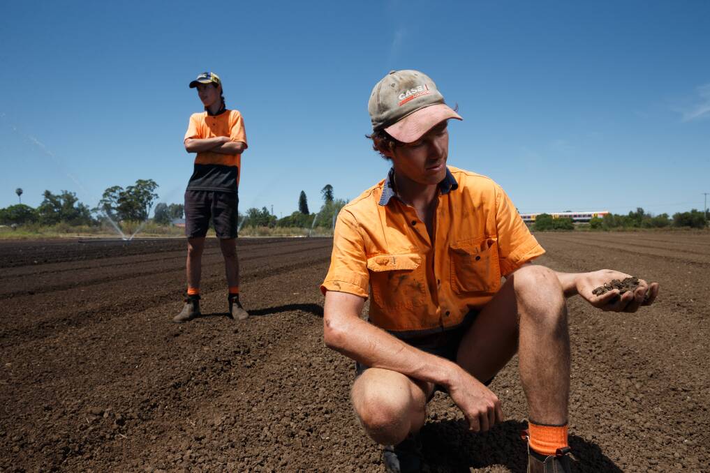 DRY TIMES: Alex and Tom Woods need water with low salinity levels to help their crops thrive. Picture: Max Mason-Hubers.