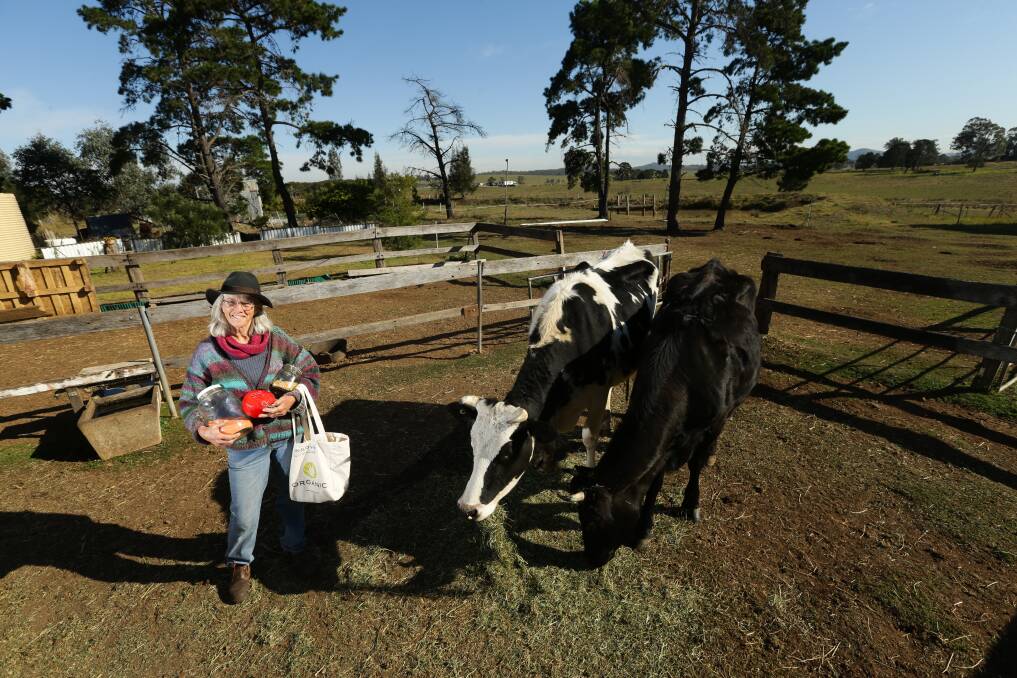 CHALLENGE: Kate Beveridge who went plastic-free in July, pictured with cows Molly and Patches. Picture: Jonathan Carroll. 