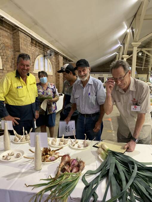 IN THE HOT SEAT: Produce competition judges Matthew Dennis and Austin Breiner have a tough job judging all of the entries. Picture: supplied.