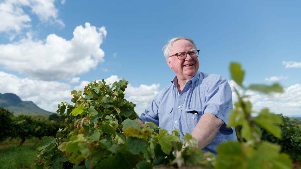 LUCKY ESCAPE: Winemaker Bruce Tyrrell, of Tyrrell's Wines, found a mouse in a bin of Semillon grapes. Picture: Max Mason-Hubers