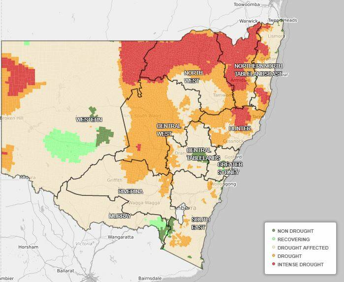 DROUGHT: 95.4 per cent of NSW is in intense drought, drought or drought affected according to the state government's Combined Drought Indicator on July 26, 2019