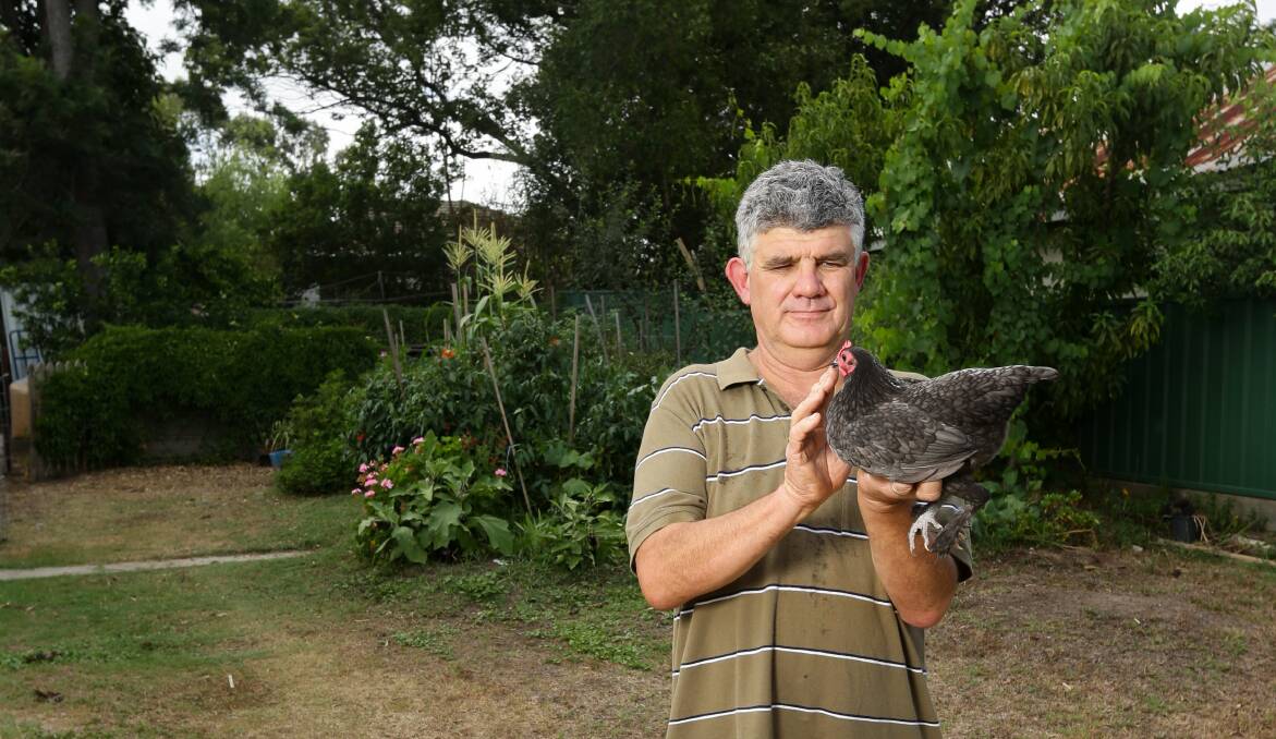 Brod Vallance with a hen he previously entered in the Maitland Show poultry competition. 