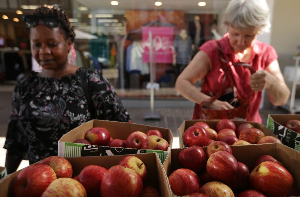 FRESH OPTIONS: Shoppers taking advantage of fresh apples from the Upper Hunter at the Slow Food Earth Market Maitland in The Levee.