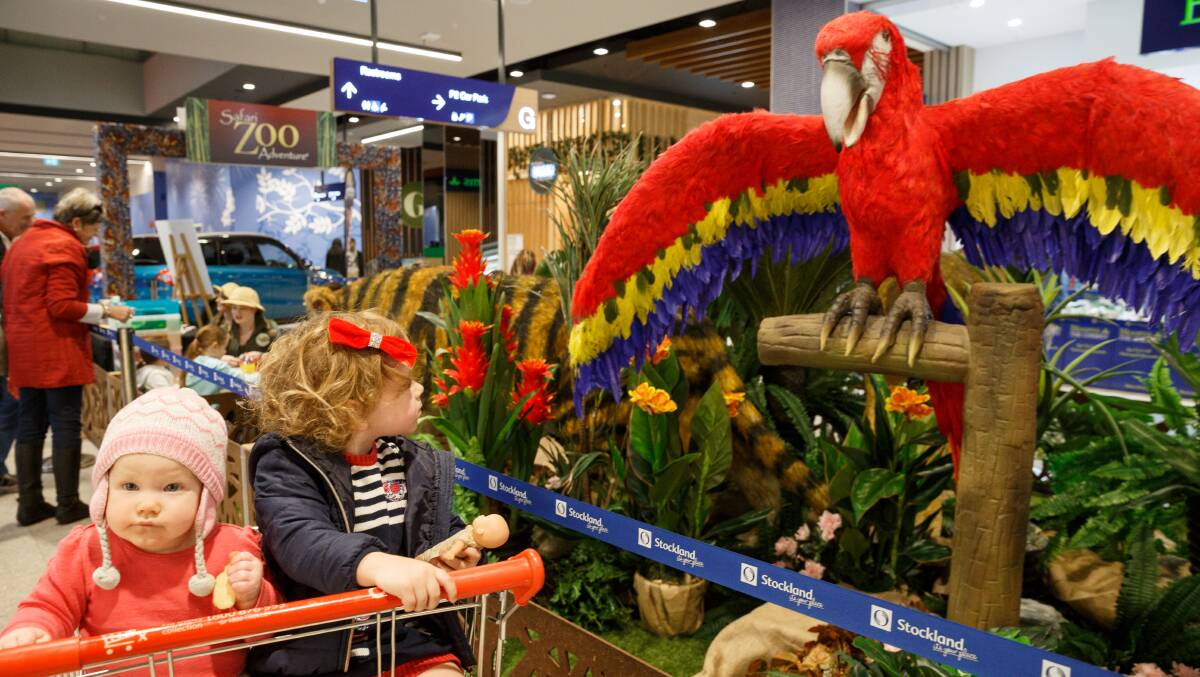 WOW: Two-year-old Zara of Ashtonfield watches as the Macaw flaps its wings and makes noises, while her sister Brydie, 9 months old, ignores it. Picture: Max Mason-Hubers.
