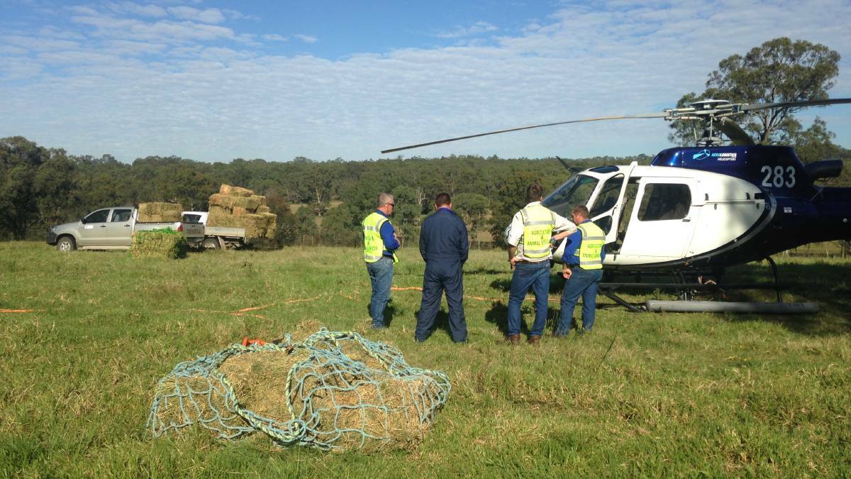 The hay helicopter preparing to take off from Tocal College.