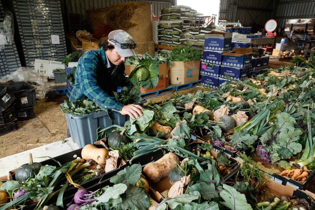 VEGGIES: Liam Dennis packing some vegetable boxes as the floodwaters rose last week. Picture: Max Mason-Hubers