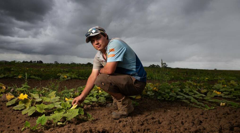 Farmer Liam Dennis with the butternut pumpkin crop in 2022. Picture by Marina Neil 