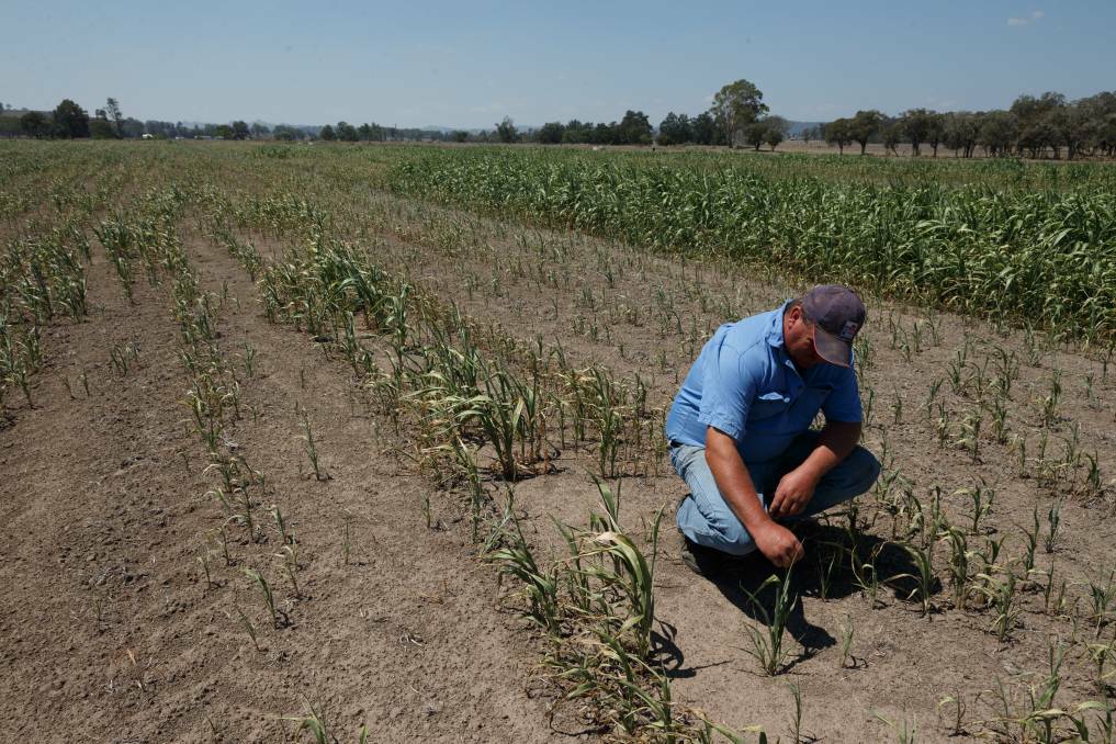Drought focus: sustainable farming is next
