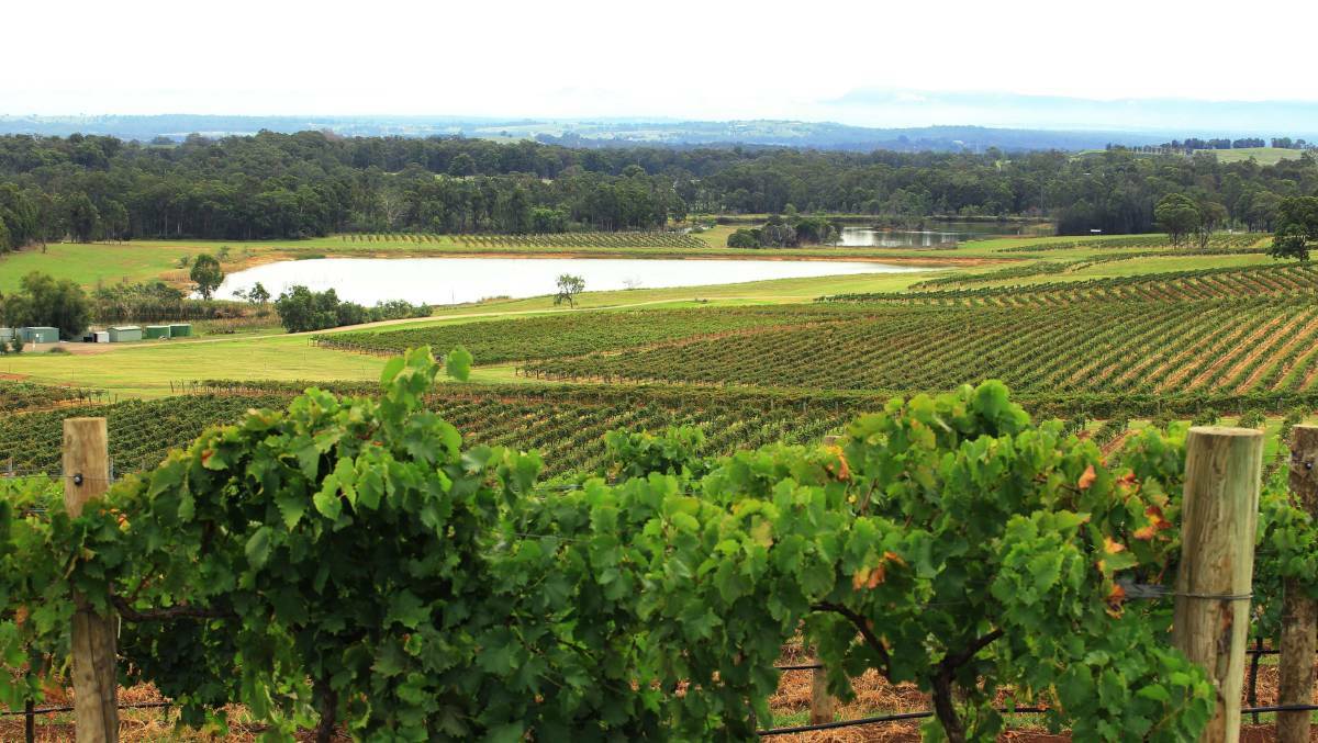WHAT A VIEW: The Hunter's wine country offers a wide range of attractions. 