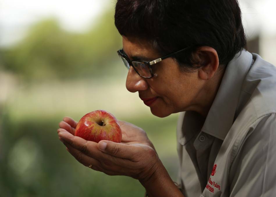 CORE PROMISE: Maitland Earth Market's Amorelle Dempster asked the community last week to confirm how much they were prepared to pay for local apples. Picture: Simone De Peak