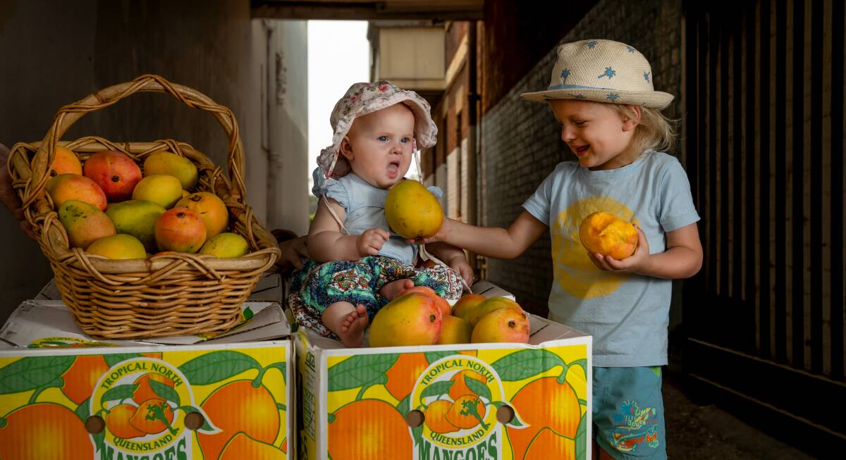 JUICY BUSINESS: Ziggy Czado, 3, with his sister Bianca, 7 months, enjoying some of the mangoes in The Levee. Pictures: Marina Neil