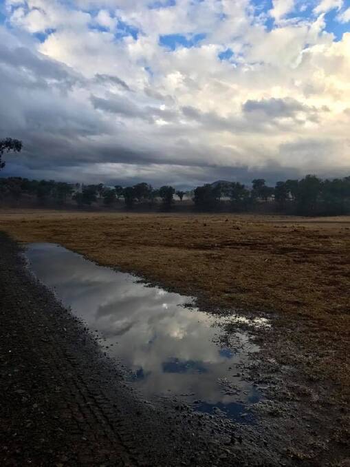 A BIT OF RAIN: Parts of the Upper Hunter had a little rain this week. Jodie White took this picture at Timor, near Murrurundi. 