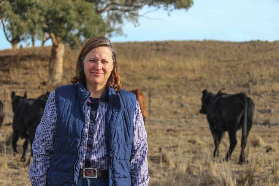 TOUGH TIMES: Cassandra McLaren, a Merriwa farmer, created the One Day Closer to Rain Facebook page in 2018. 