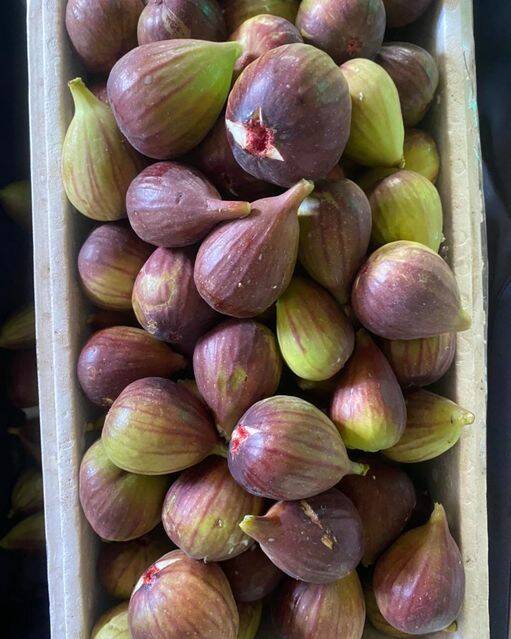 RIPE AND READY: Figs grown by the Little Tin Shed at Medowie. Picture: supplied