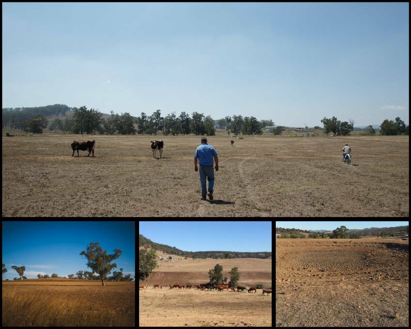 Drought: Farmers across NSW have endured hardship because of the lack of rain.