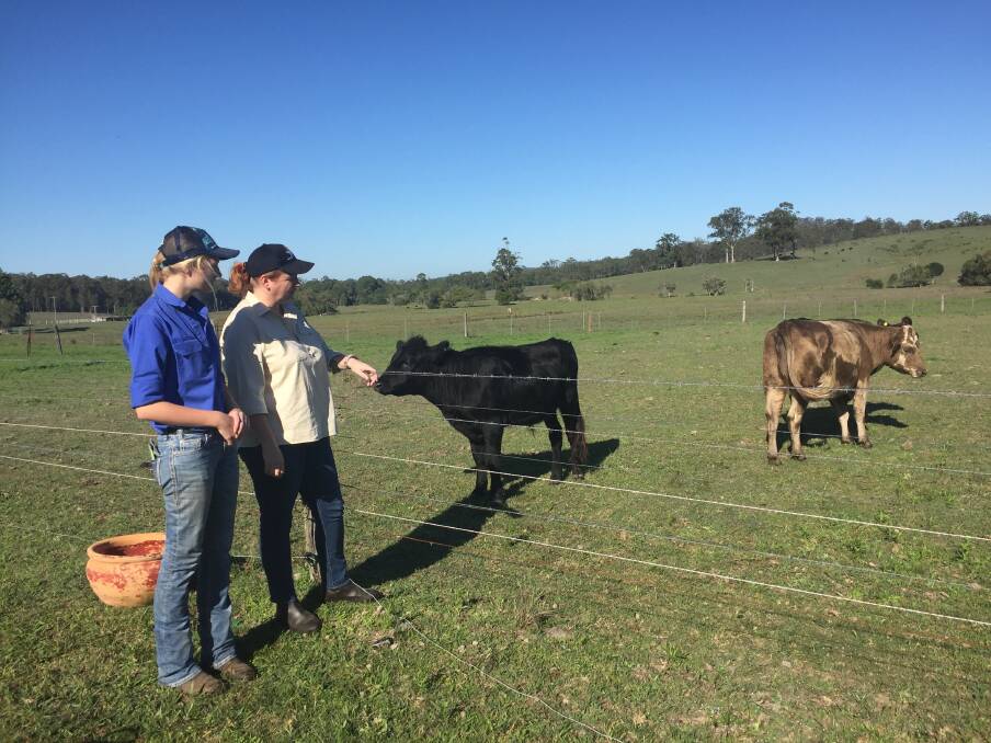 TOUGH TIMES: Hayley and Tanya Gough in the paddock with two of their cattle.