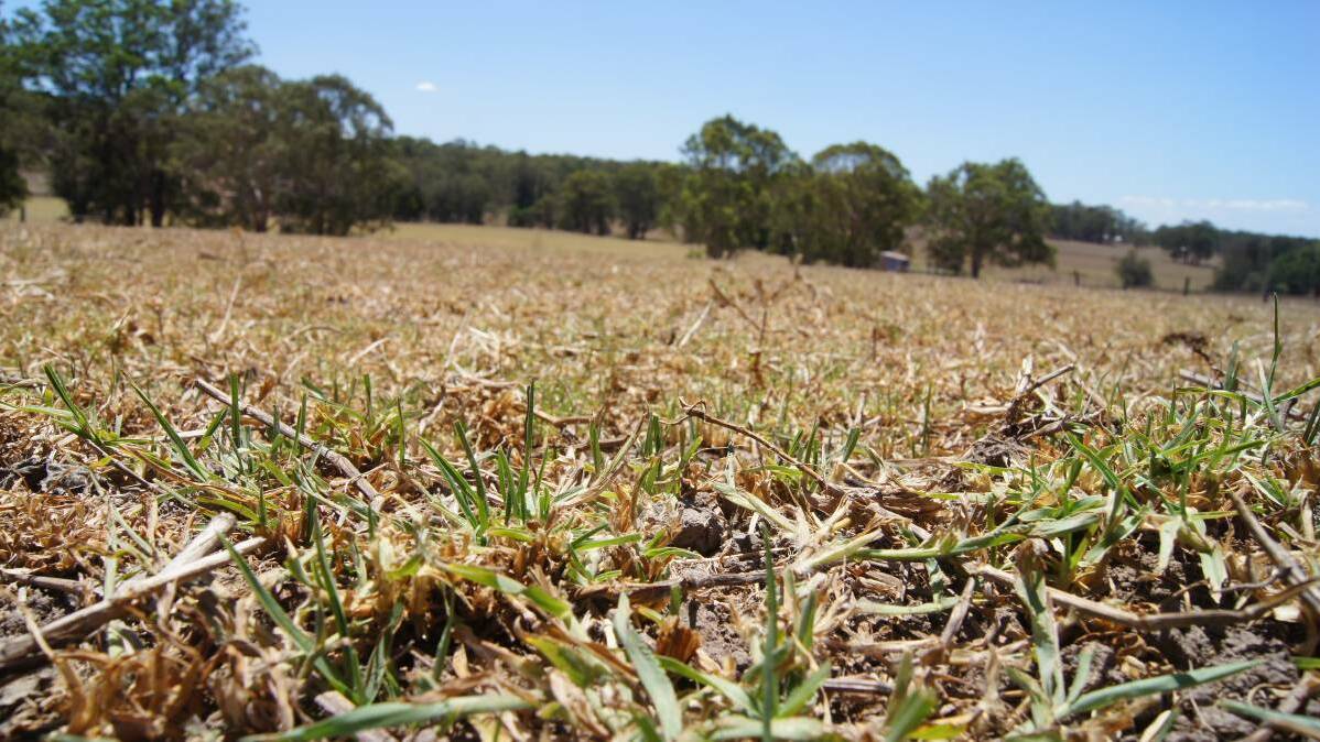 NSW election: what the Coalition and Labor have in store for farming