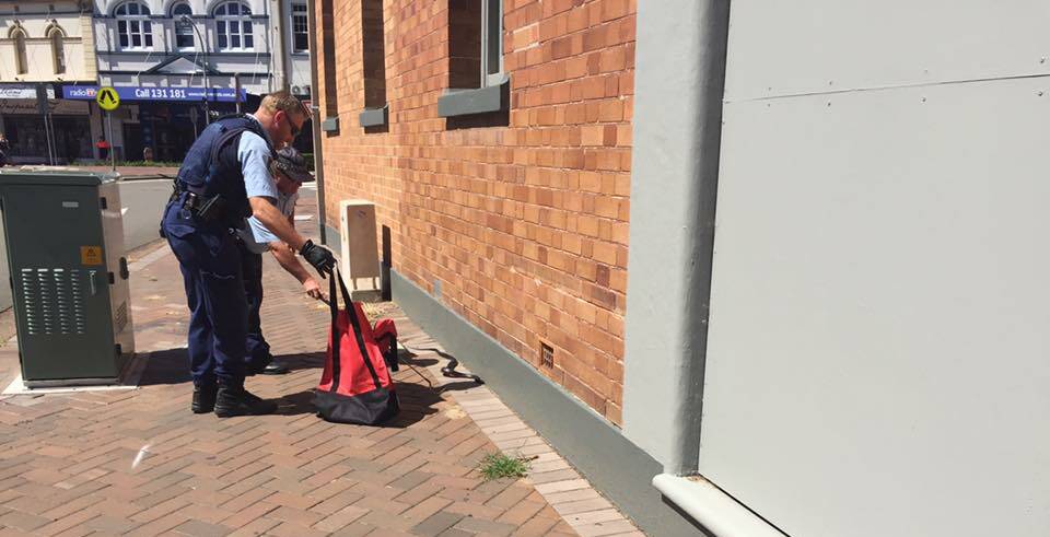 SNAKE: Two Maitland policemen used a snake hook and a bag to catch a red belly black snake in Maitland CBD on Monday. Picture: Brian Burke.