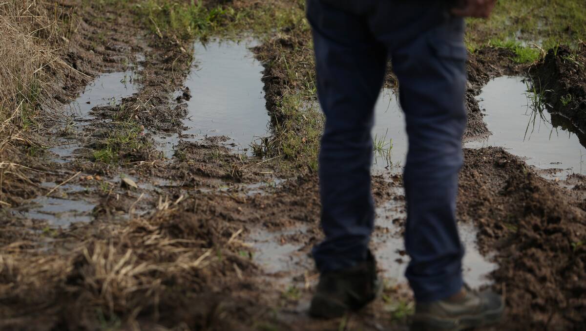 PUDDLES: Water lays on Austin Breiner's farm. Picture: Simone De Peak 