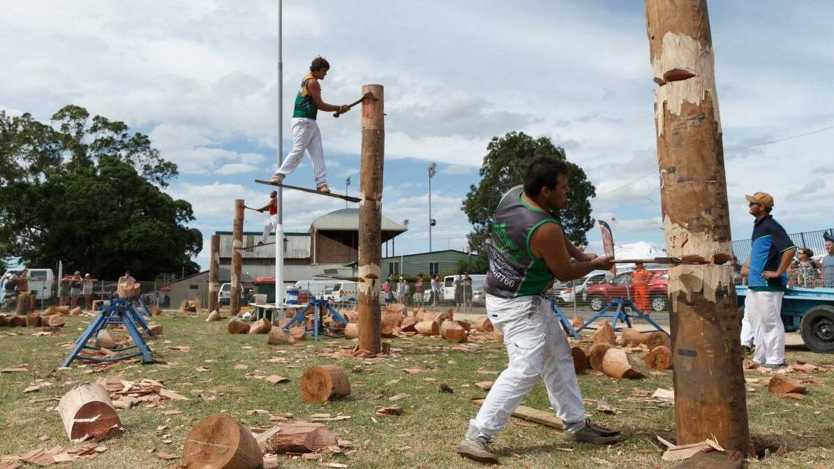 AXE AT THE READY: The Woodchop at Maitland Show.