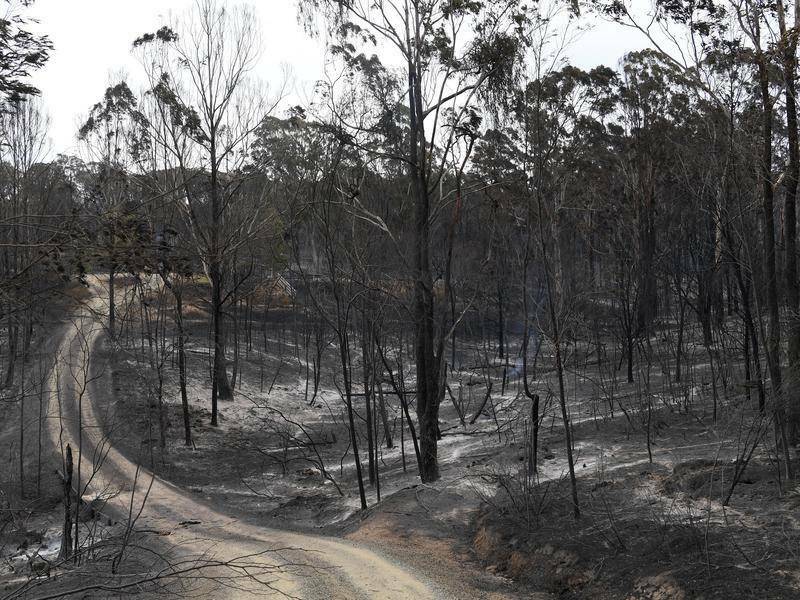 Keep clear of dangerous, fire-affected areas