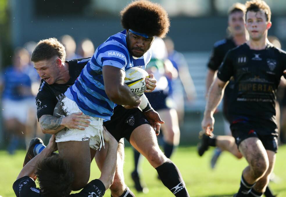 HANDFUL: Powerhouse Wanderers winger Nimi Qio charges onto the ball in the Two Blues' 29-22 win over Maitland at Marcellin Park. Picture: Jonathan Carroll