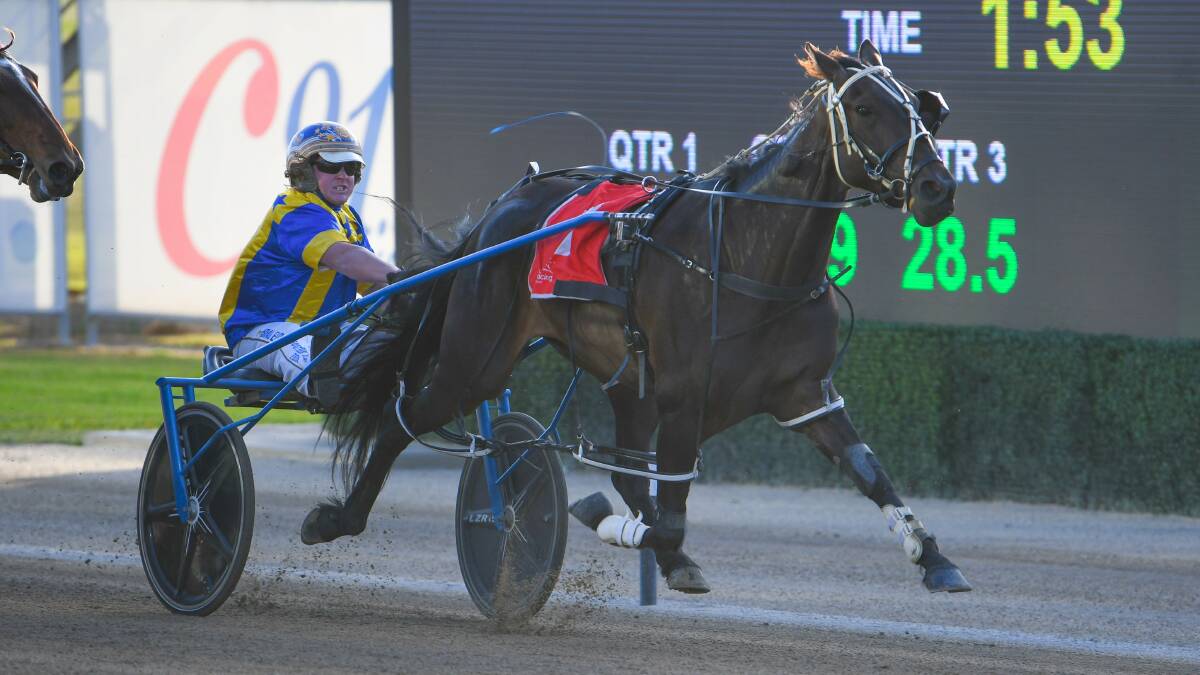 Brad Elder driving Lil Ripper to victory at Menangle on December 10. It was Elder's first city win as a trainer but was taken away because of a positive swab. Picture Racing at Club Menangle