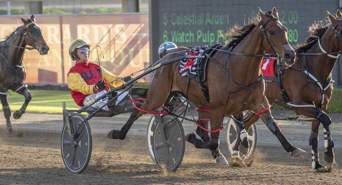 LUCKLESS: Mister Brazil, pictured winning at Menangle in 2018, was set to compete in the Inter Dominion series before illness struck on Thursday. Pictures: Racing at Club Menangle Trackside