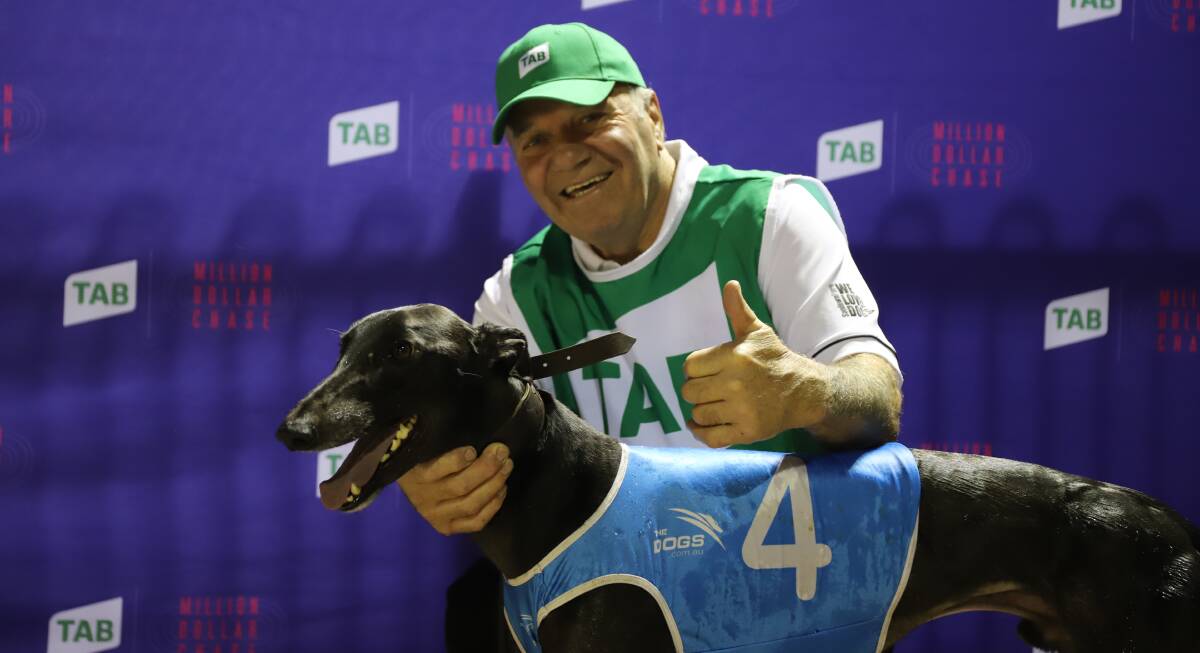 TOO GOOD: The Jason Mackay-trained Get It Gizmo with handler Milo Vodagaz after his win at The Gardens on Saturday night. Picture: GRNSW