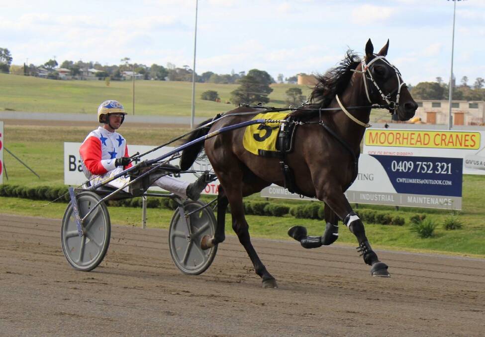 IMPRESSIVE: Fire And Sword and driver Cameron Hart at Bathurst. Picture: Bathurst Harness Racing Club