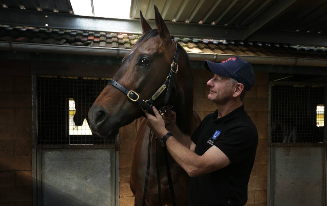 RACING ON: Newcastle trainer Kris Lees with Everest runner In Her Time. The mare will next race in the Darley Sprint Classic on November 9 at Flemington. Picture: Simone De Peak