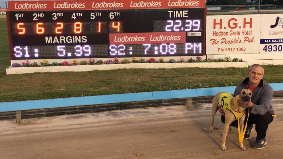 Cherokee Outlaw. Picture: Maitland Greyhounds