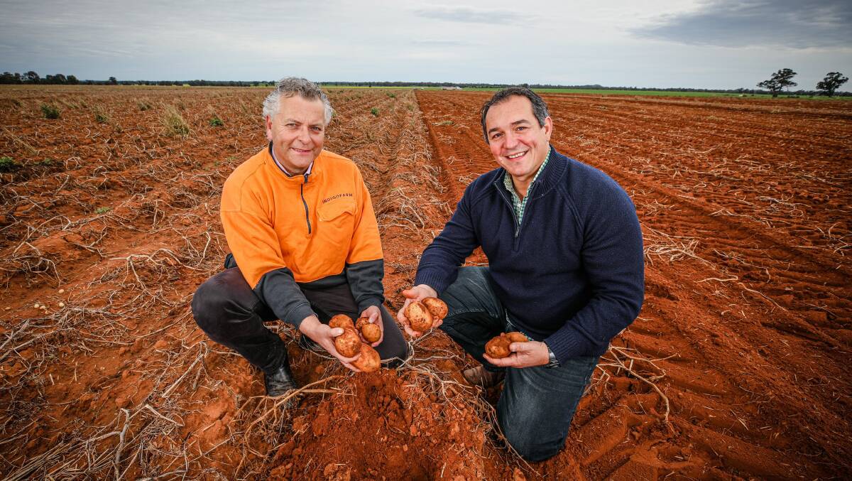 HISTORY: Smith's grower and Riverina farmer Jason Menegazzo, with PepsiCo ANZ chief executive officer, Danny Celoni, celebrating 90 years of the Smith's chip brand. 