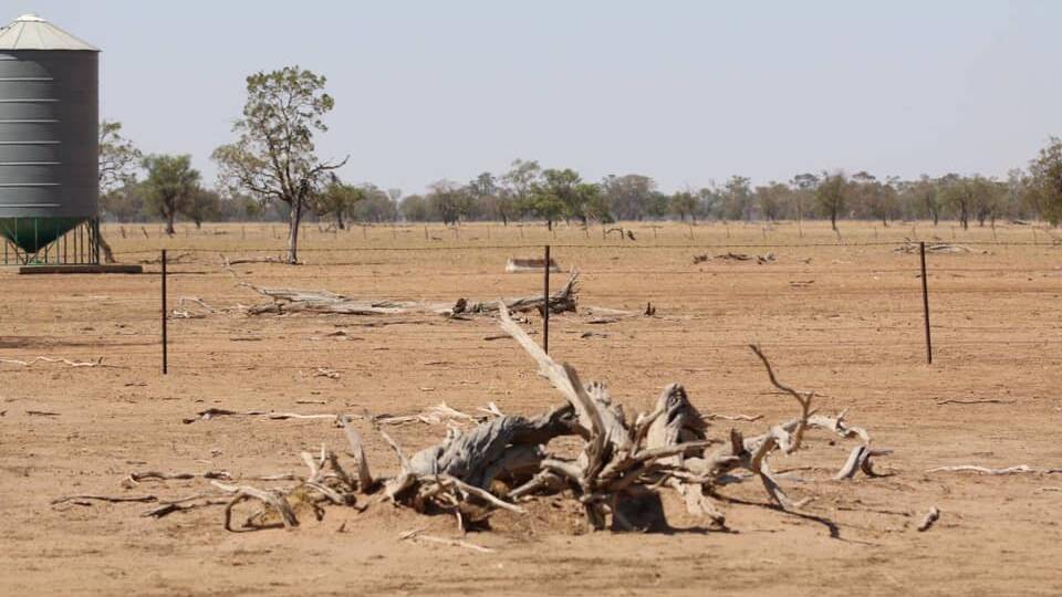 Yes, we are begging: Baradine CWA pleads for help in drought work
