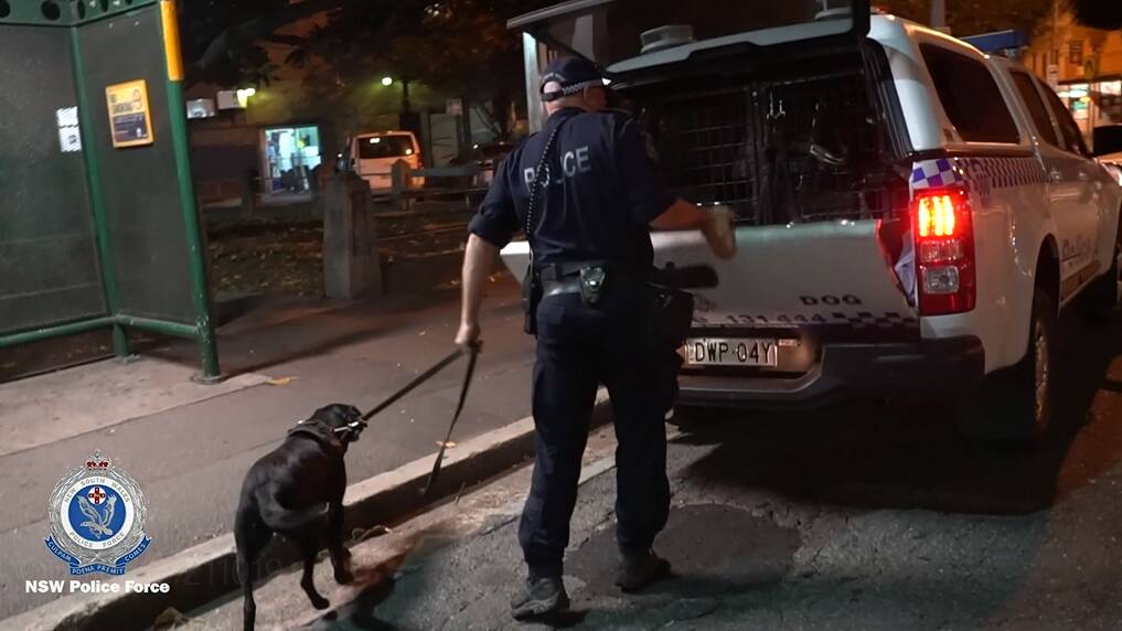 The Dog Unit was utilised in the operation. Picture: NSW Police