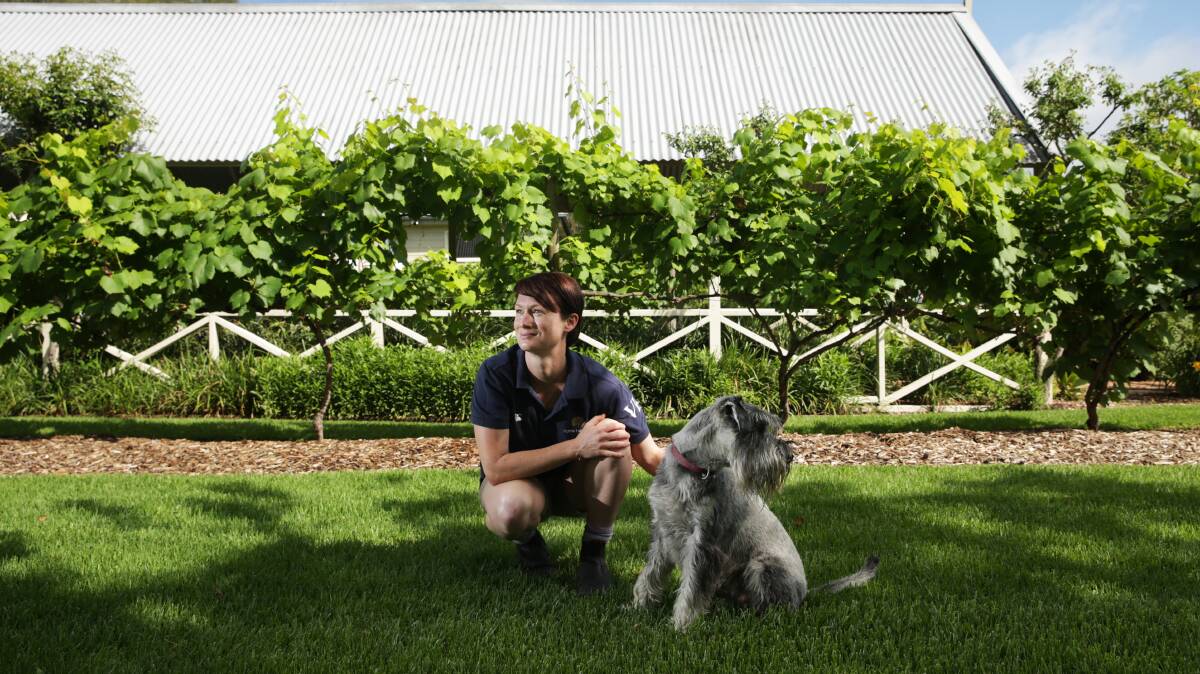 BEST BUDDIES: Pepper Tree Wines head winemaker Gwyn Olsen with her dog Spencer. Picture: Simone De Peak