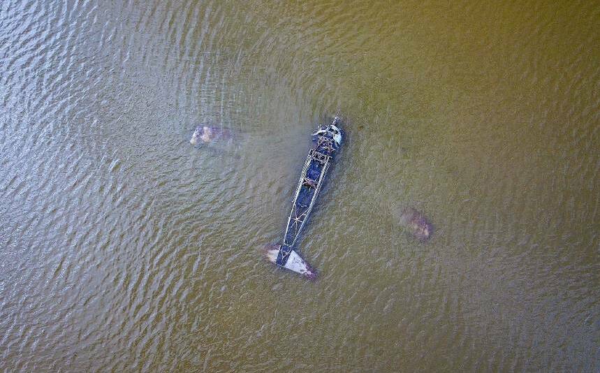 Extraction: The World War Two-era plane has been submerged in Lake Corangamite for 70 years. Picture: Shane Smith