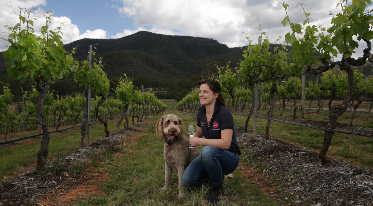 DEVINE: Agnew Wines Chief Winemaker Xanthe Hatcher pictured with her pooch Murray at Audrey Wilkinson Vineyard this week. PICTURE: Simone De Peak.