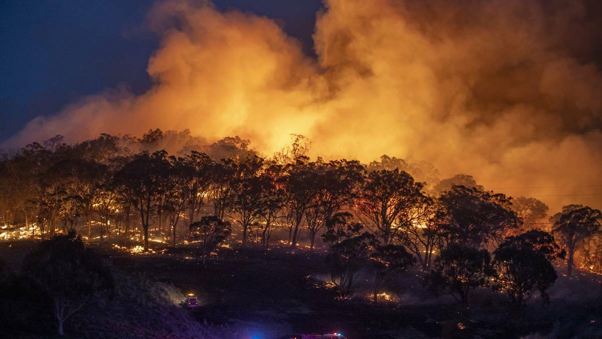 Council response to bushfire royal commission findings